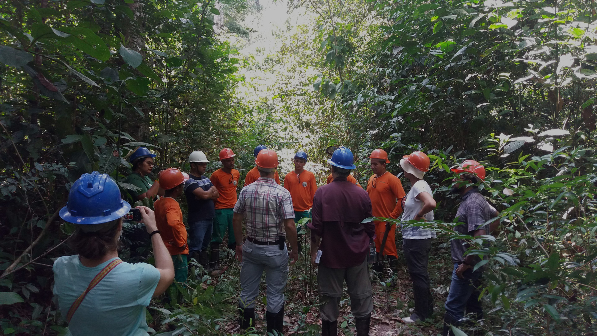 IFT  Moradores das Resex do Marajó participam de oficinas sobre Manejo de  Açaizal