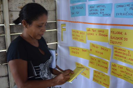 IFT  Moradores das Resex do Marajó participam de oficinas sobre Manejo de  Açaizal